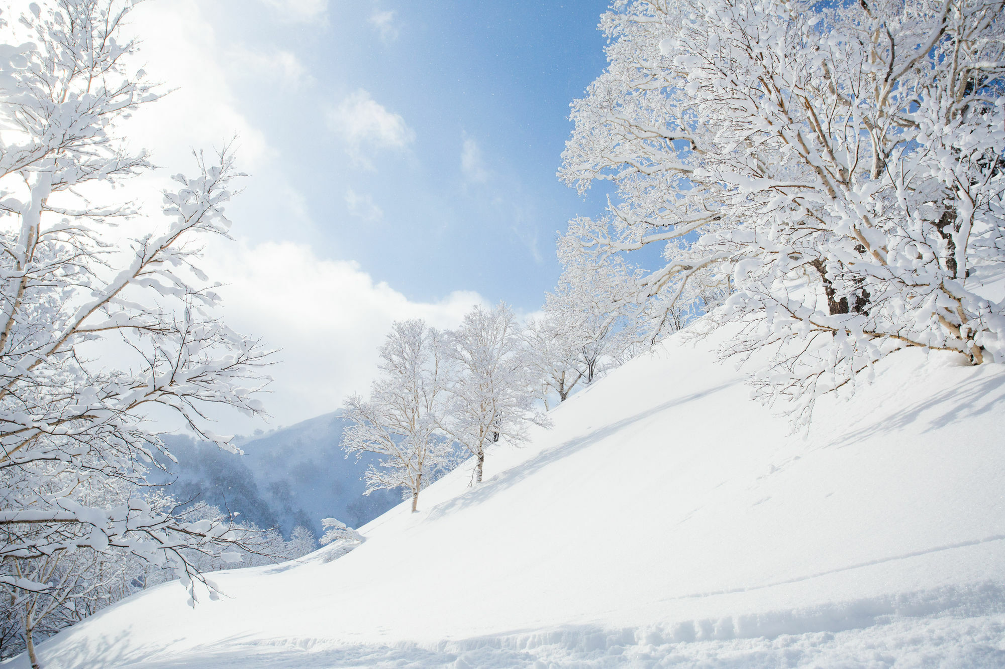 Pension Alice Niseko Ngoại thất bức ảnh